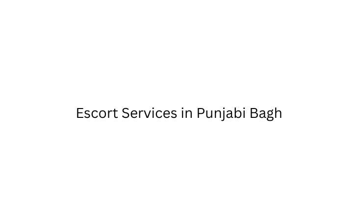 Exploring the World of Escort Services in Punjabi Bagh - Businessporting.com
