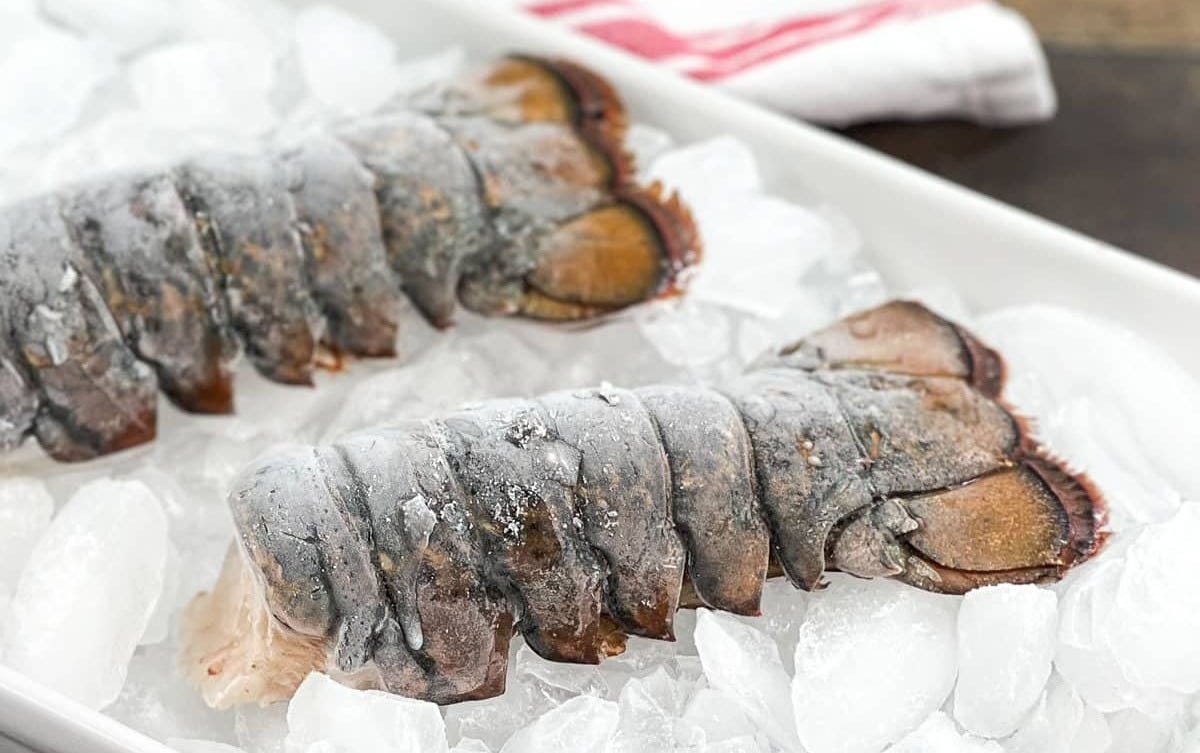 Discover the Delight of Frozen Lobster Tails | by Lindaj****ica | Feb, 2024 | Medium