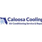 Caloosa Cooling Lee County LLC