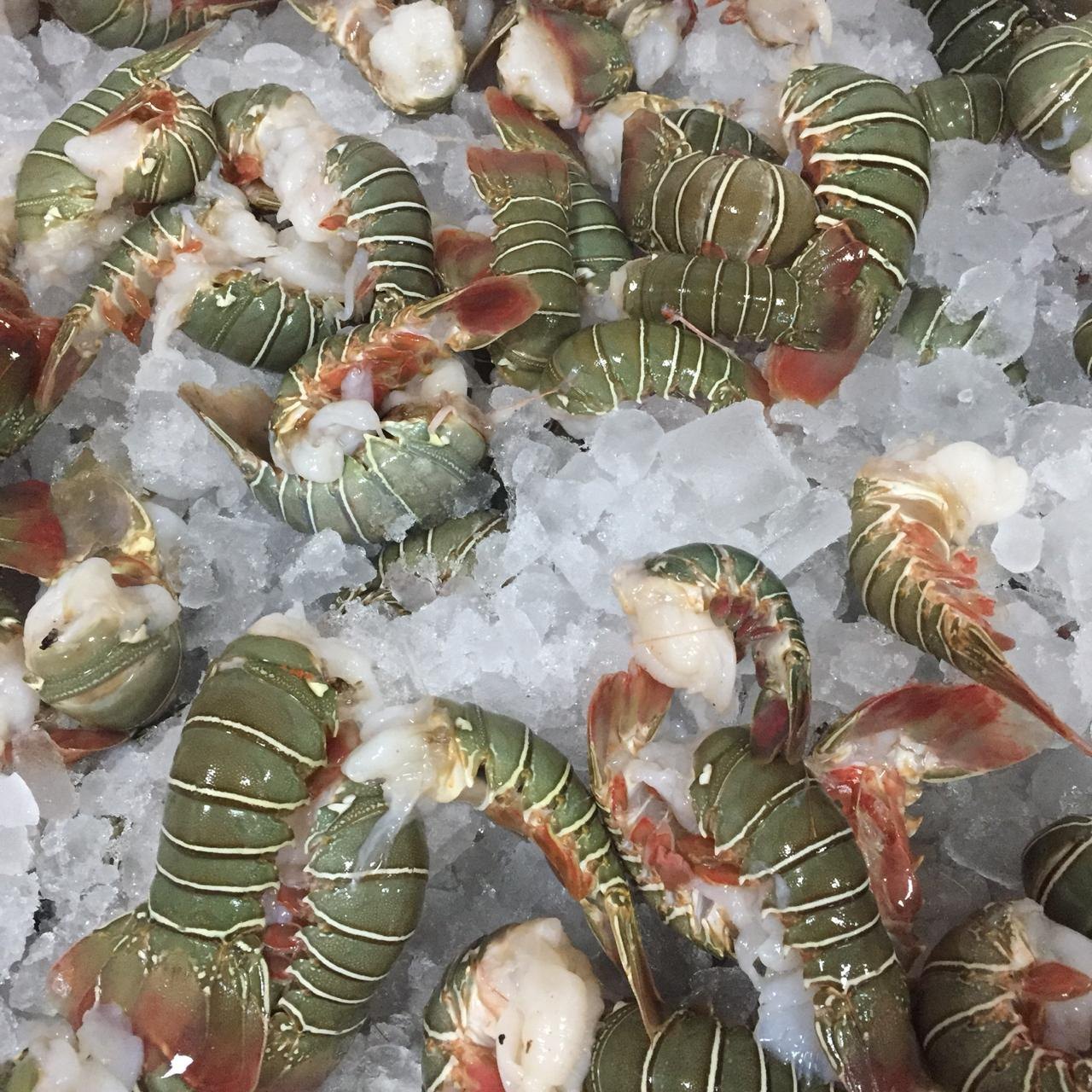 Navigating Sustainable Seafood: The Case for Frozen Lobster Tails in 2024