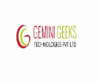 TheGeminiGeeks