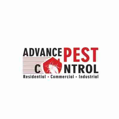 Advance Pest Control