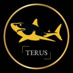 Terus Technology