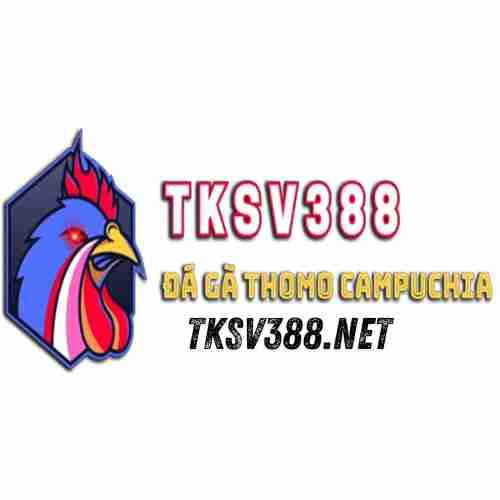 tksv388 net