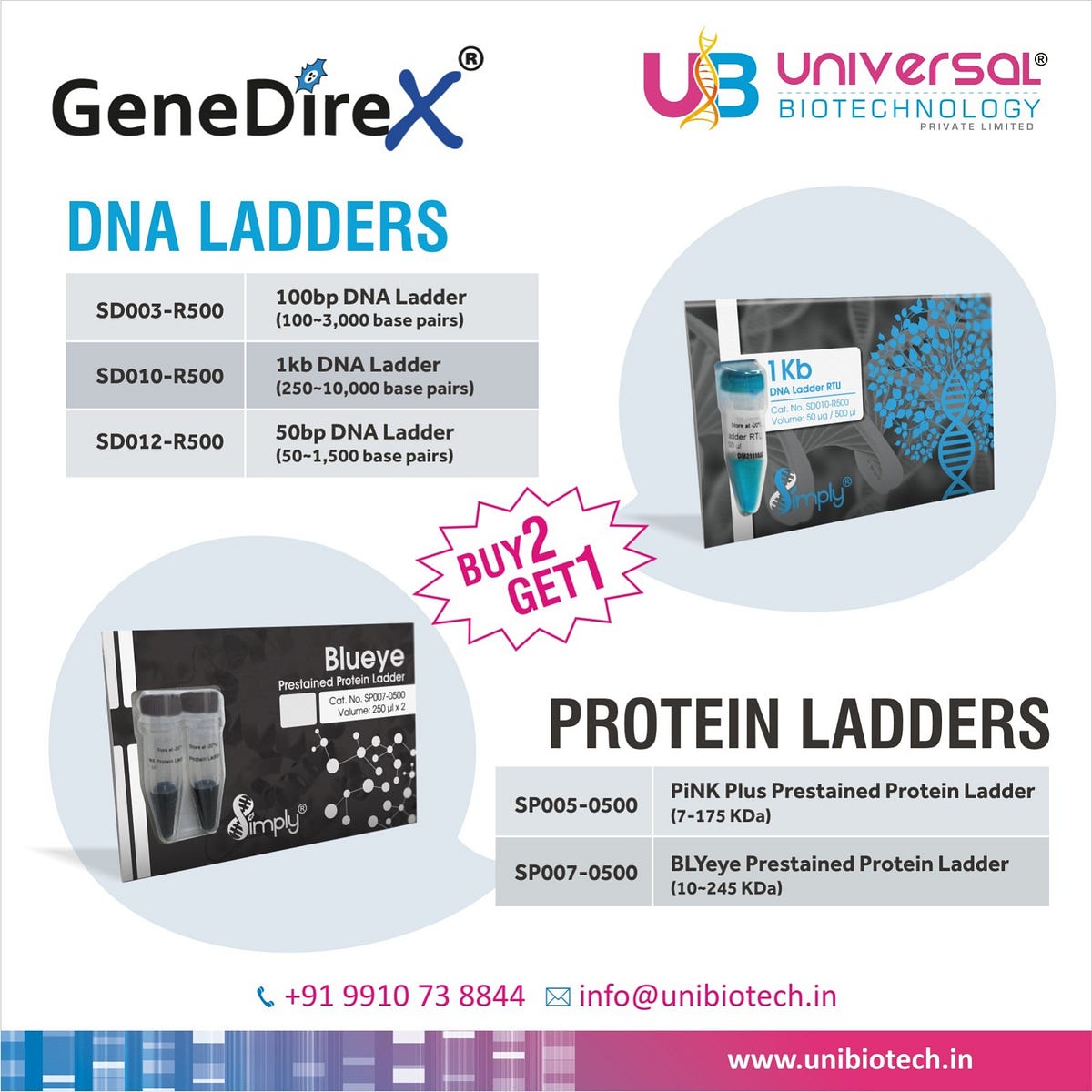 A Guide to Choosing a Suitable DNA Ladder for Your Needs | by Universal Biotechnology Pvt. Ltd. | May, 2024 | Medium