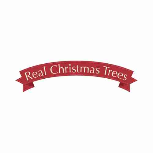 Real Christmas Trees