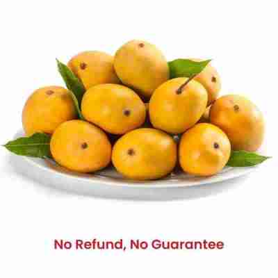 Fresh Alphonso Mangoes 1.3kgs (4-6 pcs) - No refund or guarantee Profile Picture