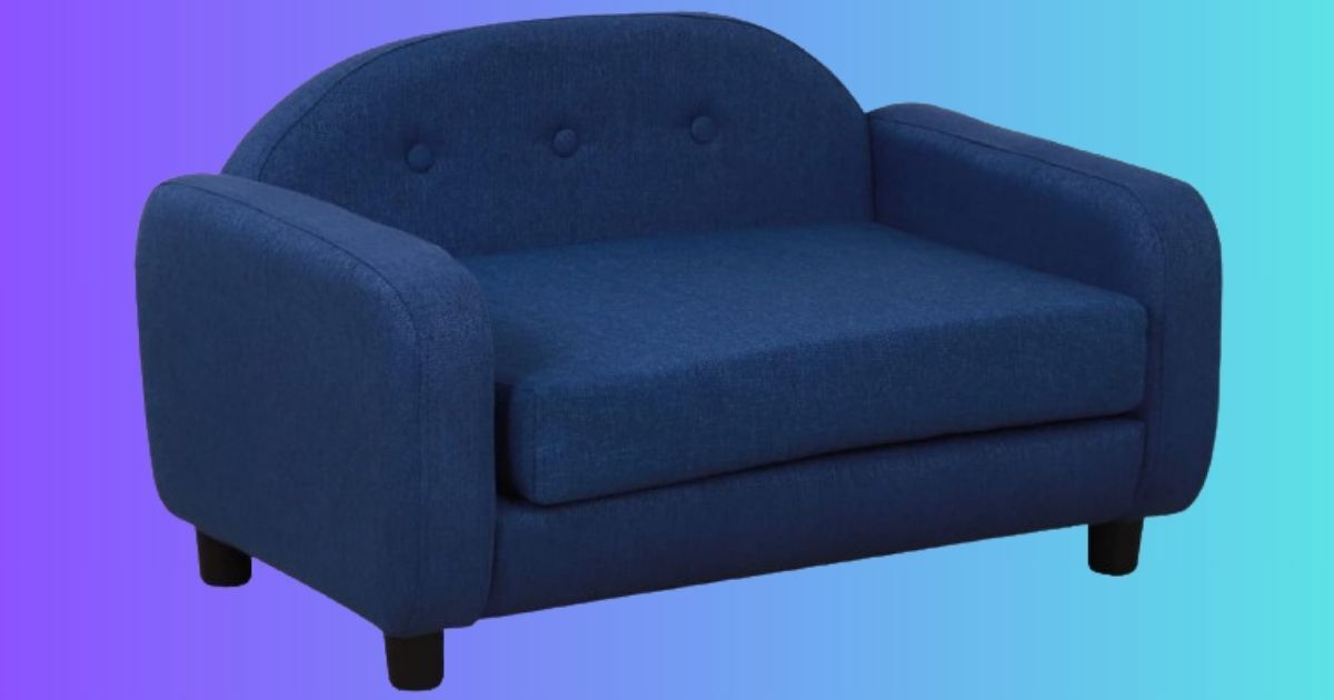 The 10 best couches for dogs of 2024 - SafeFins