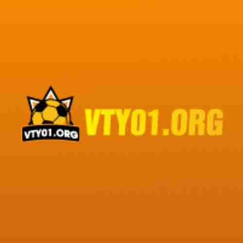 vty01 org