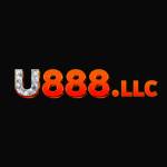 U888 LLC