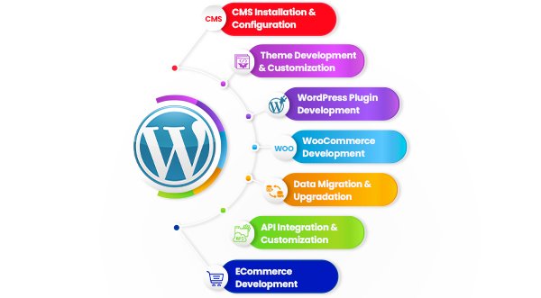 WordPress Web Development Services In India | Custom WordPress Theme & Plugin Development Company In India - Amigoways