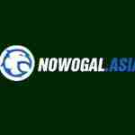 Nowgoal 2in1