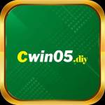 cwin 05diy
