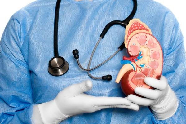 How to Locate Best Kidney Cancer Surgeon for Kidney Treatment - blogrism.com