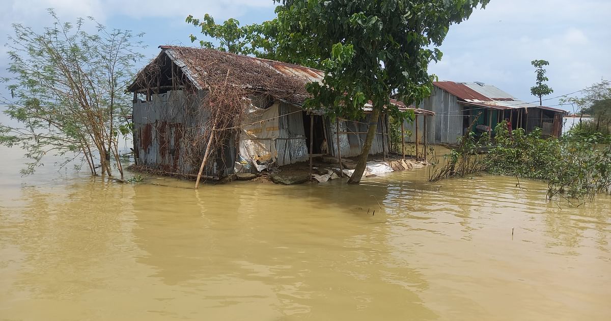 সুনামগঞ্জে বন্যা: রোদে স্বস্তি, পানি নামার ধীরগতিতে অস্বস্তি | প্রথম আলো