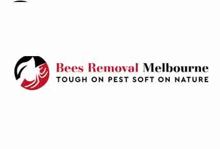 BeesRemoval Melbourne