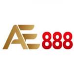 AE888 86