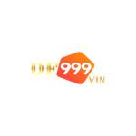 DF999 Vin