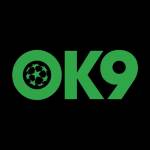 OK9 Casino