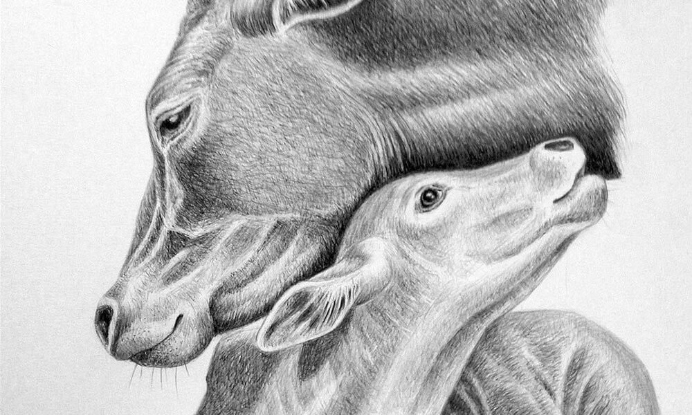 Jo Frederiks’ Artistic Journey to Save Animals & Promote Veganism - Trendy Art Ideas