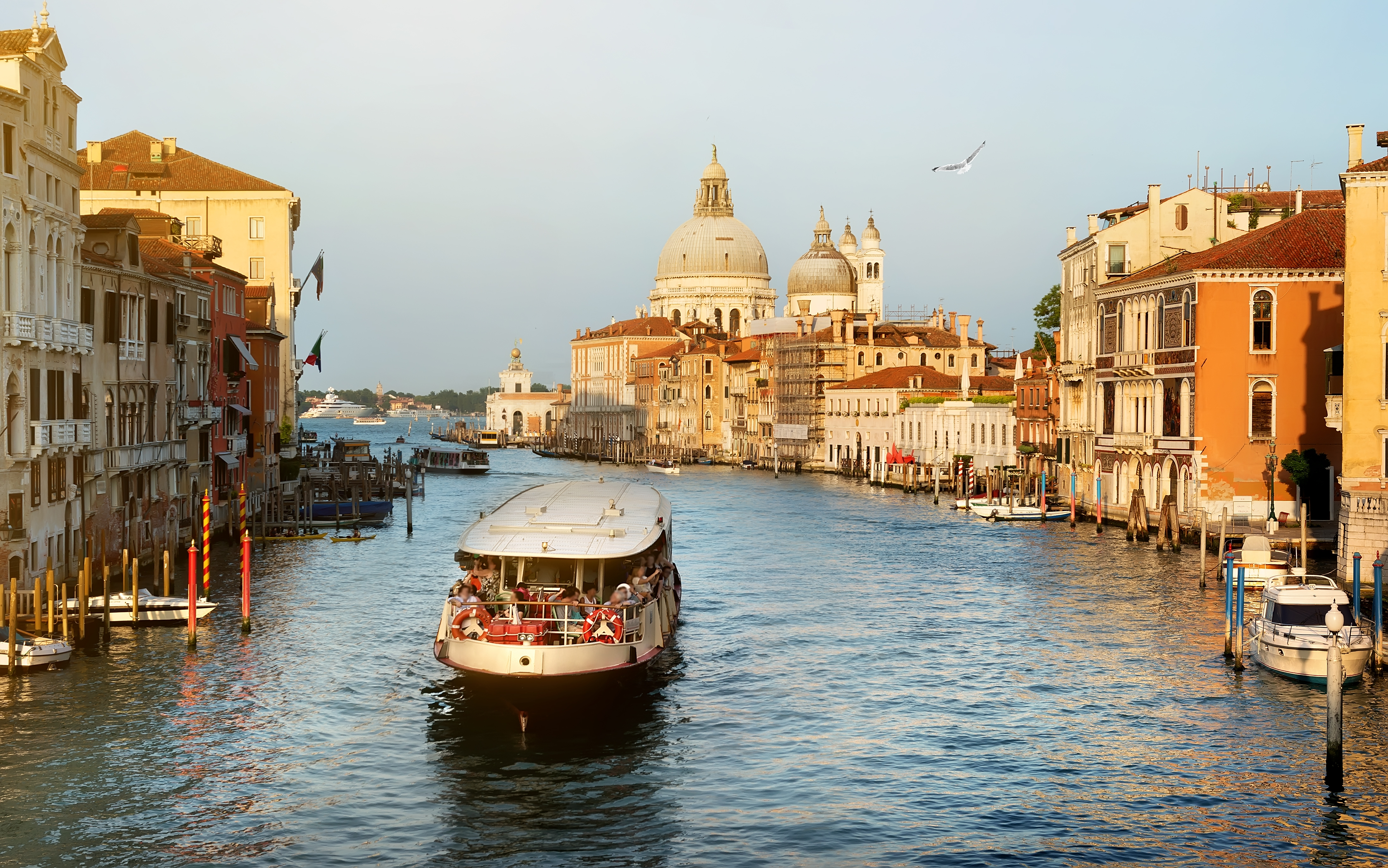 Book and discover the best tours in Venice