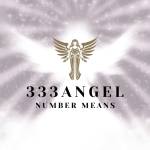 333 Angel Number Means