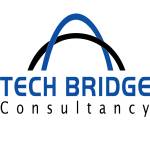 Tech Bridge Consultancy