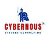 Cybernous Infosec consulting