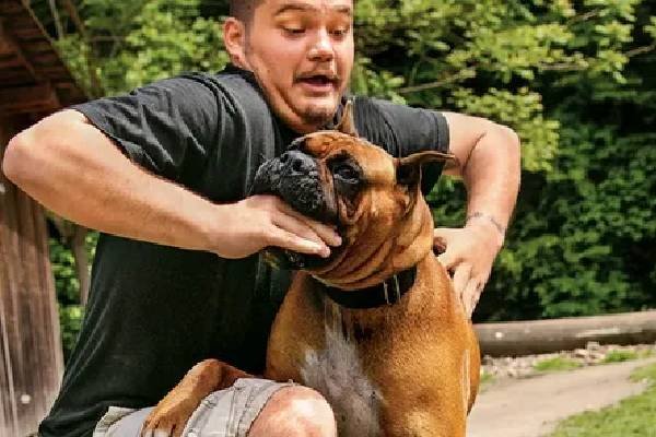 Understanding the Role of a Dog Bite Attorney: Your Guide to Legal Assistance - Article Consult