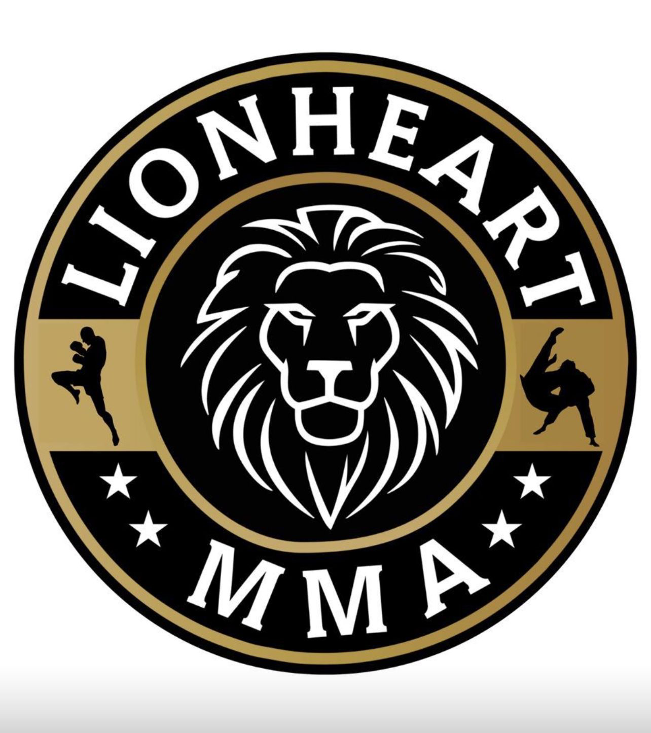 LIONHEART MMA SINGAPORE | MUAY THAI | 75 South Bridge Road, Singapore