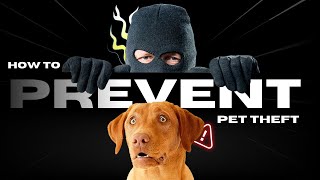 How to Prevent Pet Theft | Essential Tips for Pet Safety and Advanced Protection Training