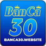 Banca30 website