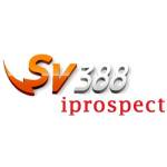 SV388 iprospect