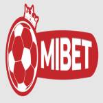 Mibet Hair