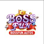 BOSSFUN autos