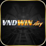VNDWIN VNDWIN