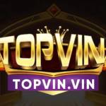 Top Vin