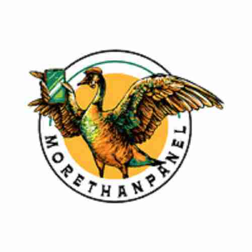 Morethan Panel
