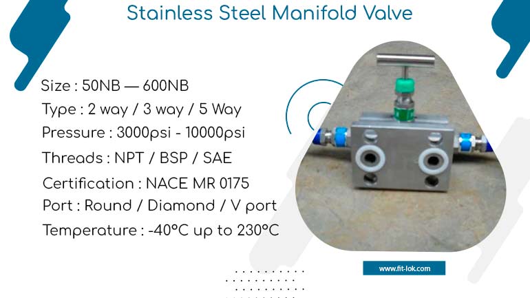 Stainless Steel Manifold Valve | SS 304 Manifold Tuning Valve Supplier