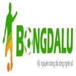 bongdaluvip net