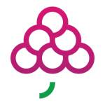 GrapesTech Solutions