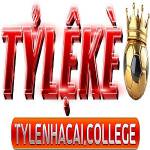 tylenhacai college