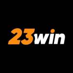 23WINtop biz