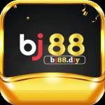 Bj Diy