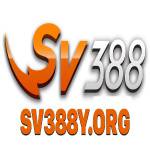 Svy Org