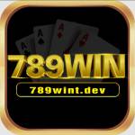 789WINt dev