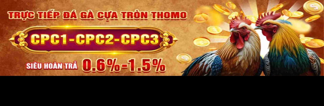 Đá Gà Trực Tiếp