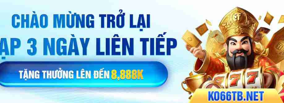 ko66tb net