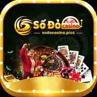 sodocasino pics