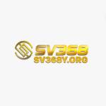 Svy Org